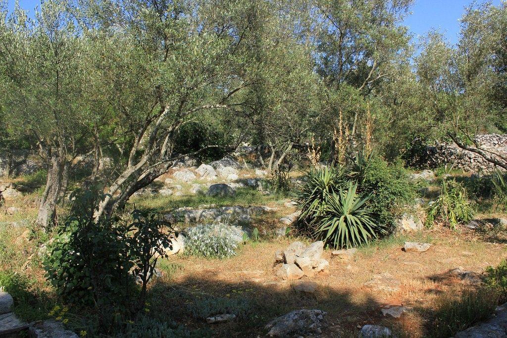 Secluded Fisherman'S Cottage Cove Magrovica - Telascica, Dugi Otok - 8142 Сали Екстер'єр фото